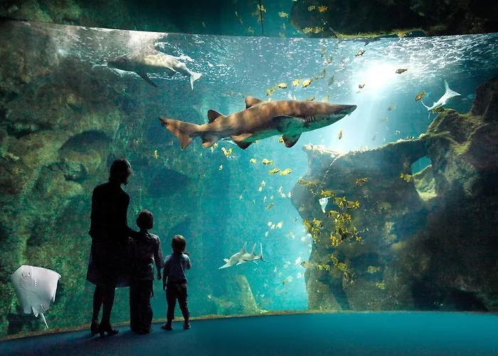 De L'océan Hotel La Rochelle (Charente-Maritime)